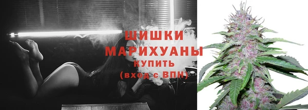 каннабис Аркадак