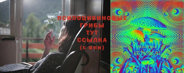 бутират Баксан