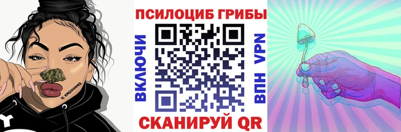 купить наркотики сайты mega ссылка Псилоцибиновые грибы мицелий сайты даркнета наркотические препараты Протвино