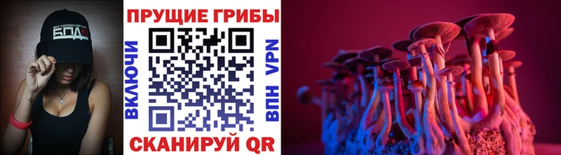 Галлюциногенные грибы MAGIC MUSHROOMS Протвино
