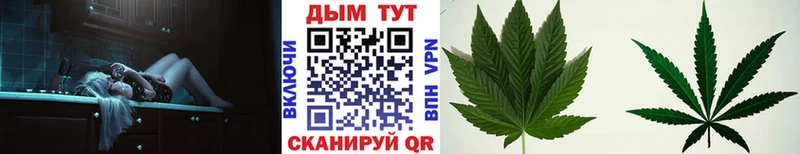 Конопля SATIVA & INDICA мега ссылка Протвино где купить